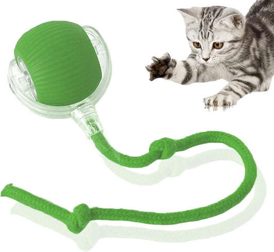 Automatic Rolling Ball Toy